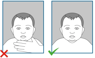 From left to right: 1. visible support, 2. good passport photo